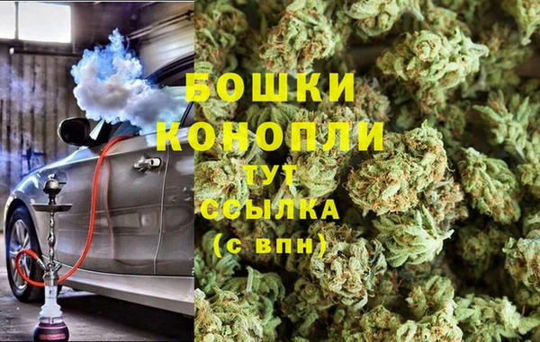 прущие грибы Абаза
