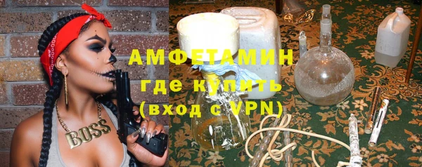 прущие грибы Абаза
