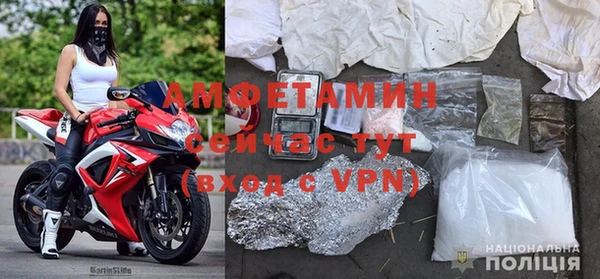 прущие грибы Абаза