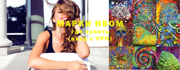 прущие грибы Абаза