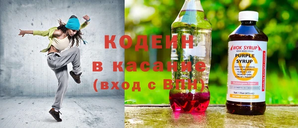 прущие грибы Абаза