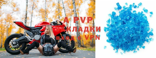 прущие грибы Абаза