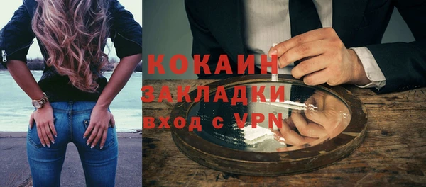 прущие грибы Абаза
