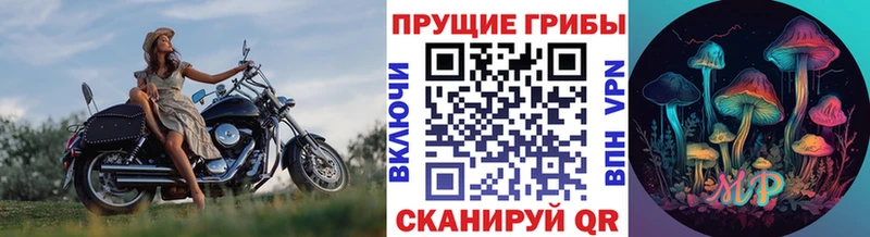 блэк спрут сайт  Приморско-Ахтарск  Галлюциногенные грибы мухоморы 